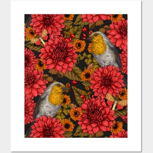 Robins in the autumn garden, red dahlias on black Posters and Art